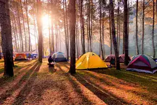 Camping Site